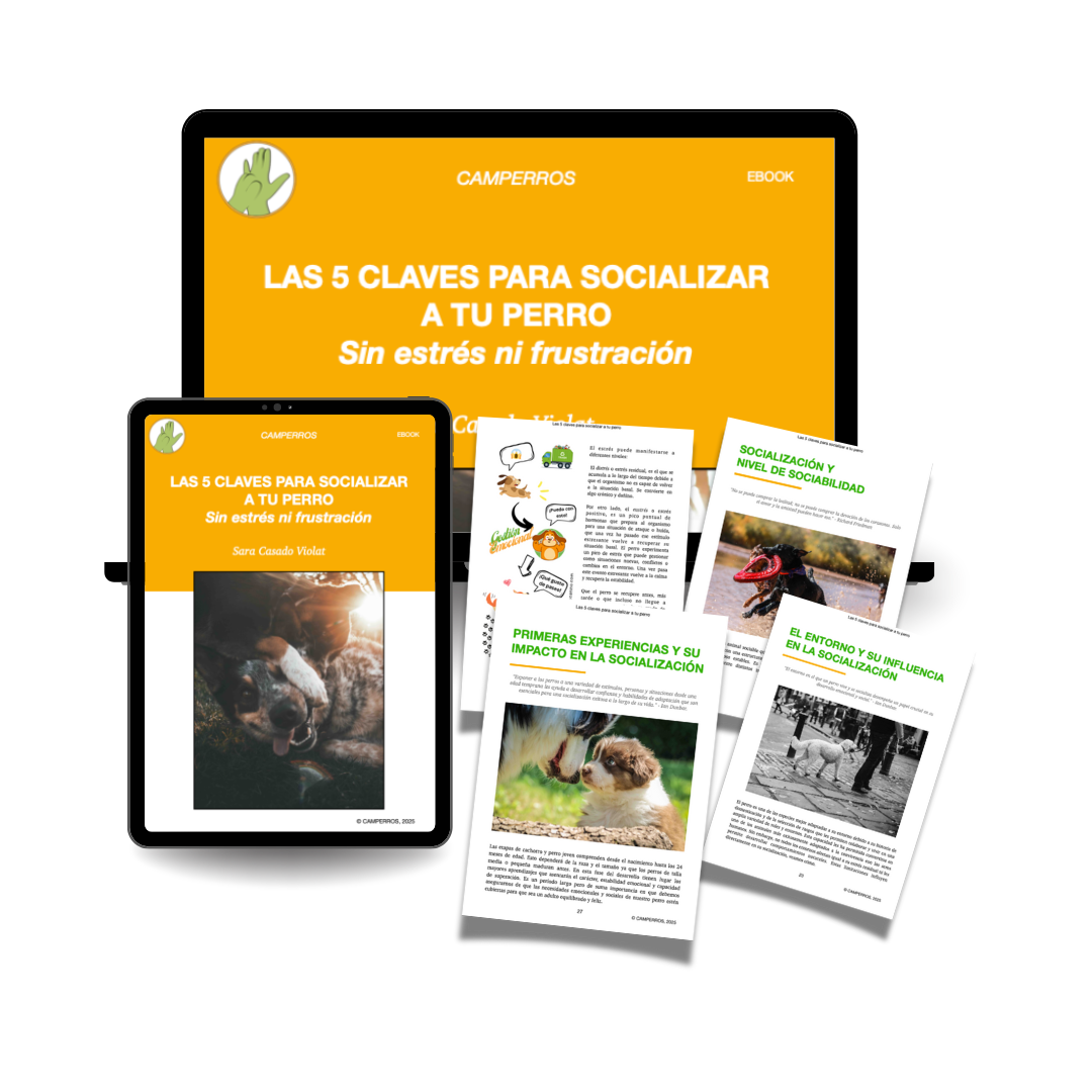 Ebook Las 5 claves para socializar a tu perro